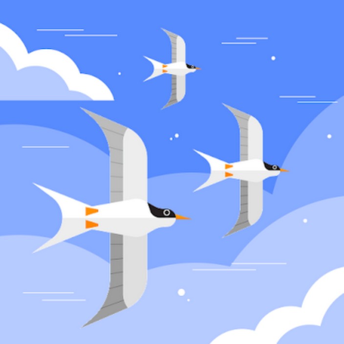 pigeon23.eth Ethereum Name Service (ENS and .eth domain) PFP