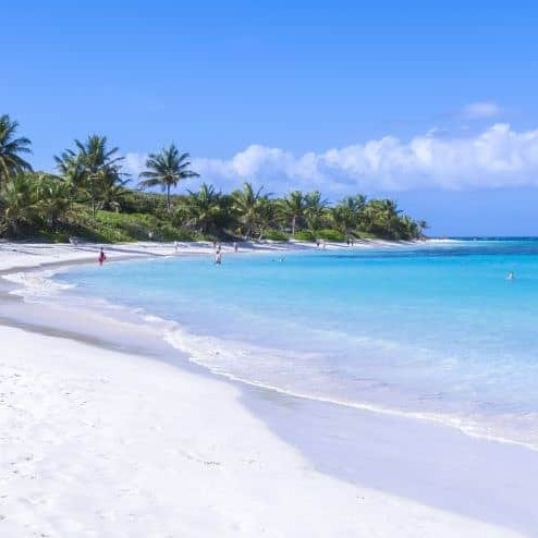 playaflamenco.eth Ethereum Name Service (ENS and .eth domain) PFP