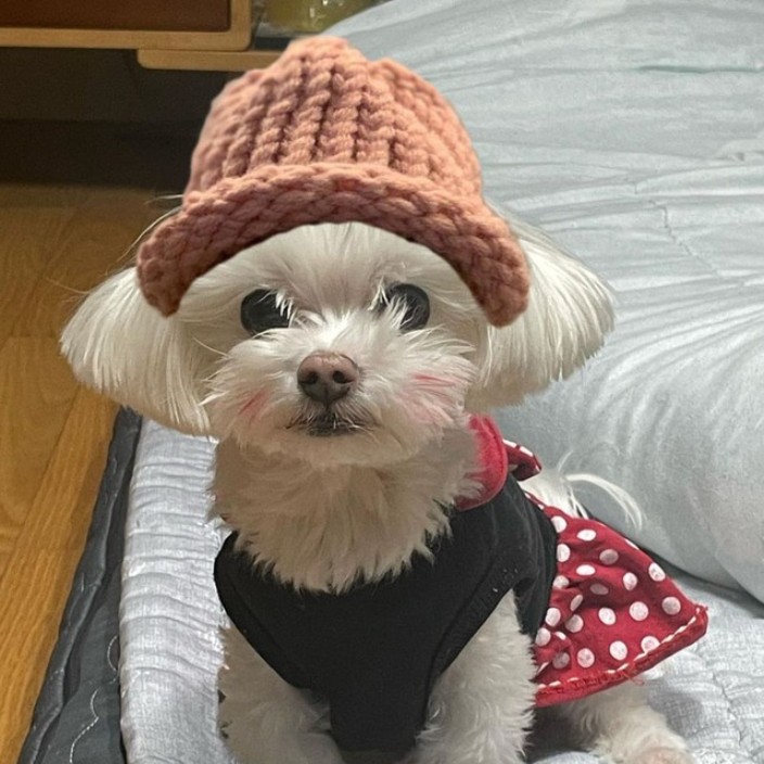 pooku.eth Ethereum Name Service (ENS and .eth domain) PFP