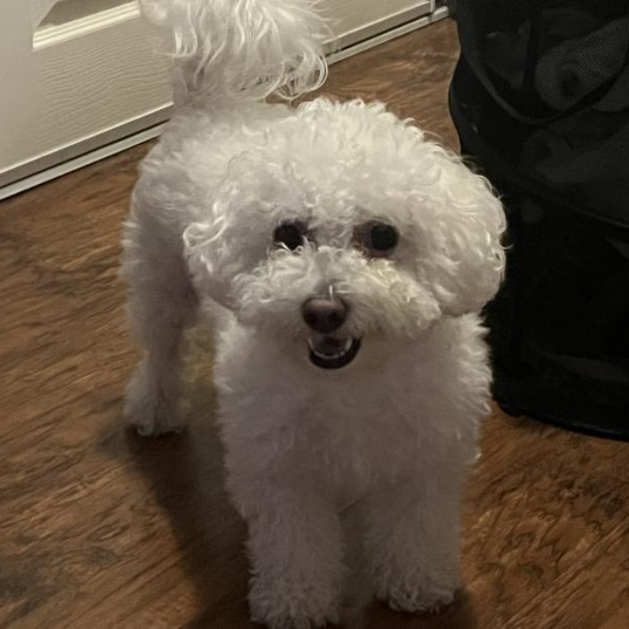 poopychan.eth Ethereum Name Service (ENS and .eth domain) PFP