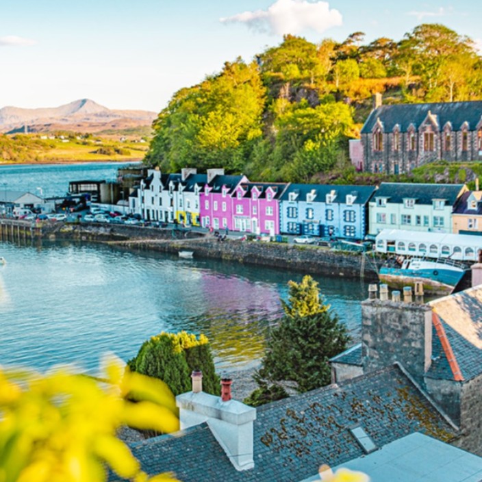 portree.eth Ethereum Name Service (ENS and .eth domain) PFP