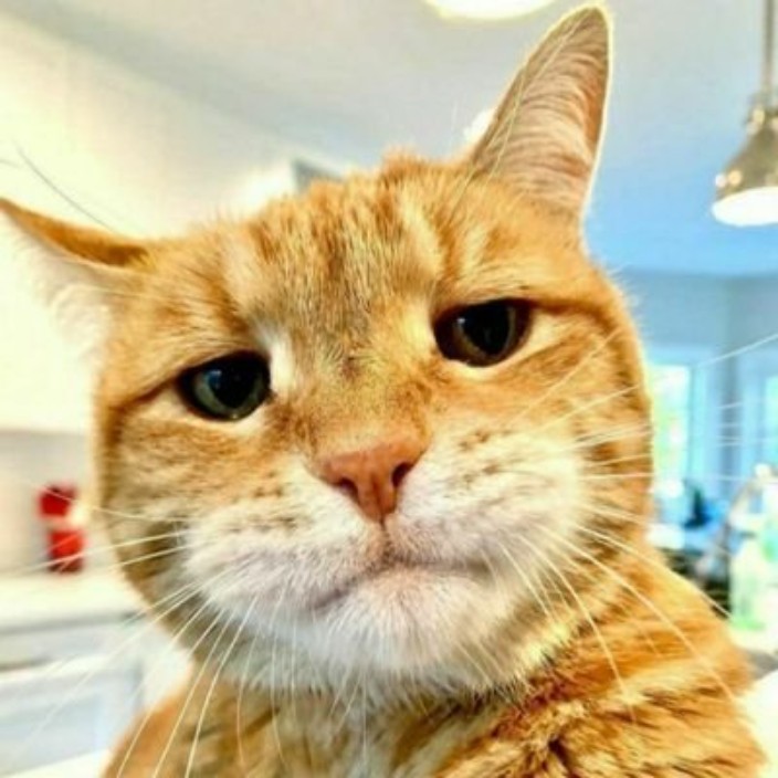 powerali.eth Ethereum Name Service (ENS and .eth domain) PFP