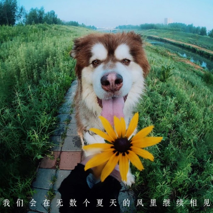 pp111.eth Ethereum Name Service (ENS and .eth domain) PFP