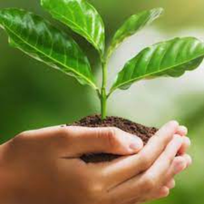 preservation285.eth Ethereum Name Service (ENS and .eth domain) PFP