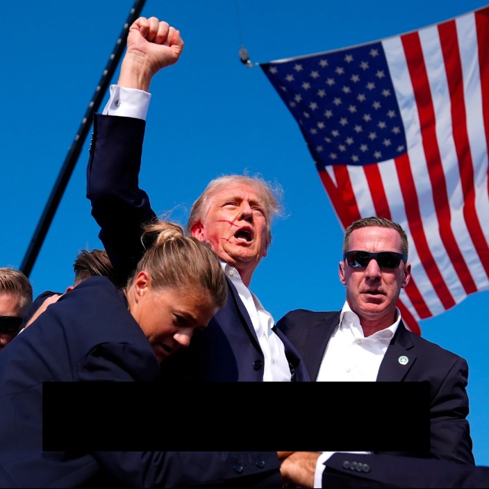 presidentdonald.eth Ethereum Name Service (ENS and .eth domain) PFP