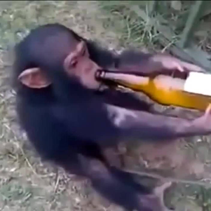 prislui.eth Ethereum Name Service (ENS and .eth domain) PFP