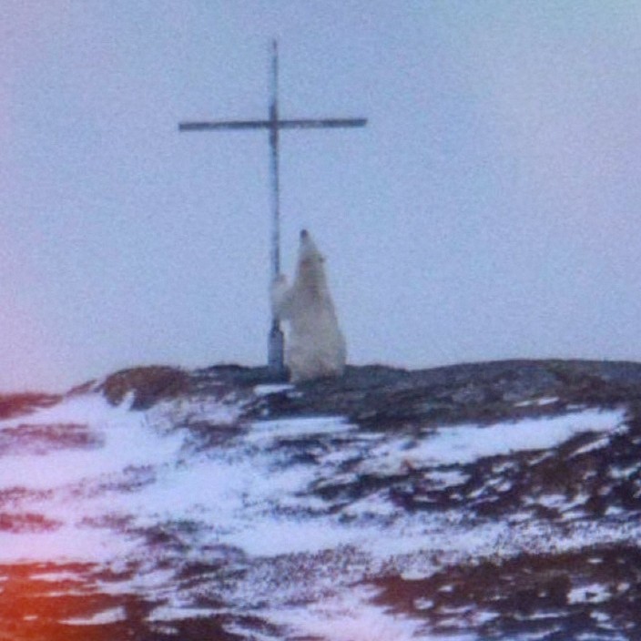 profess.eth Ethereum Name Service (ENS and .eth domain) PFP