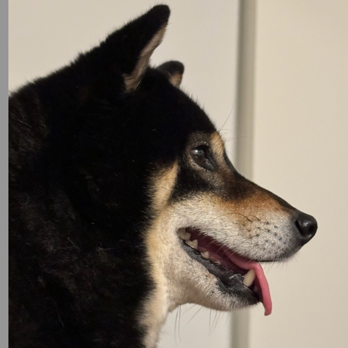 proofofliquidity.eth Ethereum Name Service (ENS and .eth domain) PFP