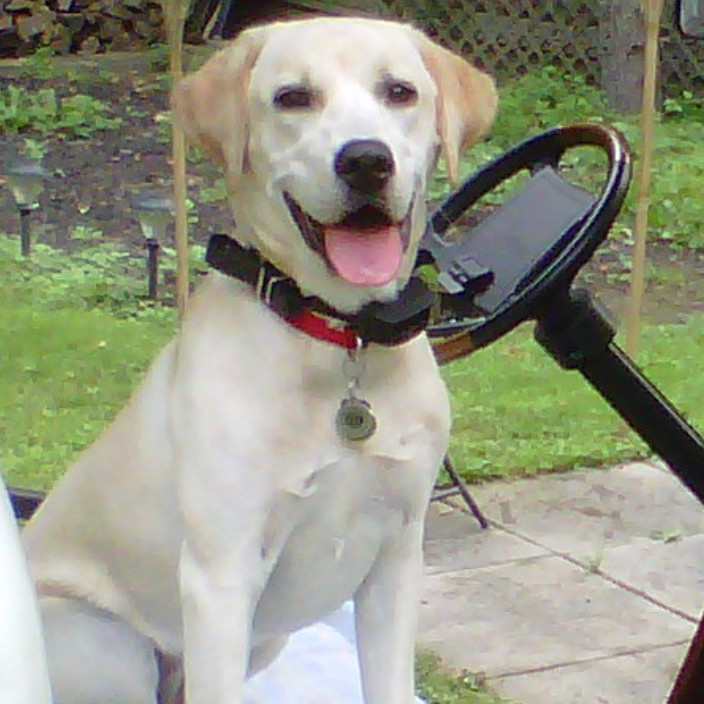 protectedbymaya.eth Ethereum Name Service (ENS and .eth domain) PFP