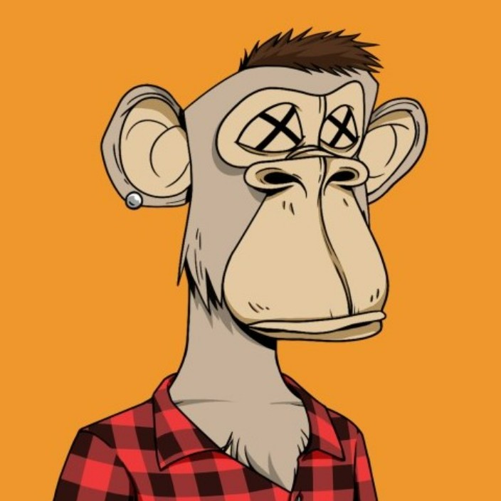 punkindrublic.eth Ethereum Name Service (ENS and .eth domain) PFP