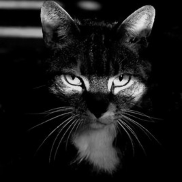 quelaniel.eth Ethereum Name Service (ENS and .eth domain) PFP