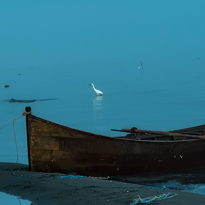 raginghamid.eth Ethereum Name Service (ENS and .eth domain) PFP