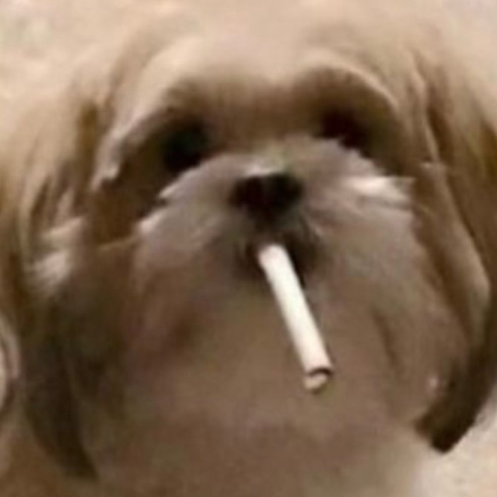 reasonable-bp.eth Ethereum Name Service (ENS and .eth domain) PFP