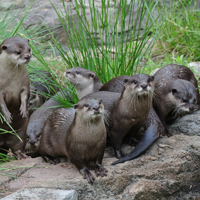 rebeccasohmer.eth Ethereum Name Service (ENS and .eth domain) PFP