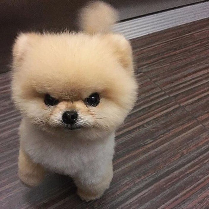 rebecccavoid.eth Ethereum Name Service (ENS and .eth domain) PFP