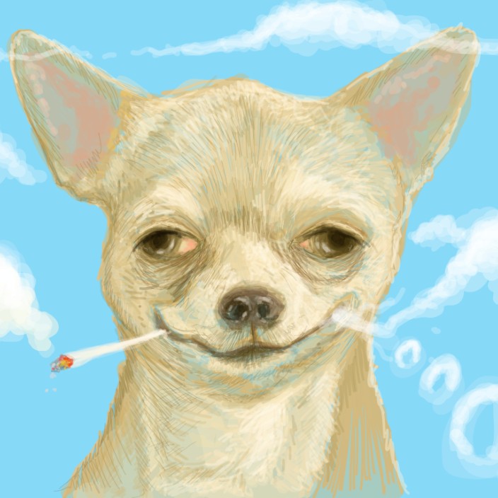 Reconnaissance Scout (reconnaissance-scout.eth) Ethereum Name Service (ENS and .eth domain) PFP