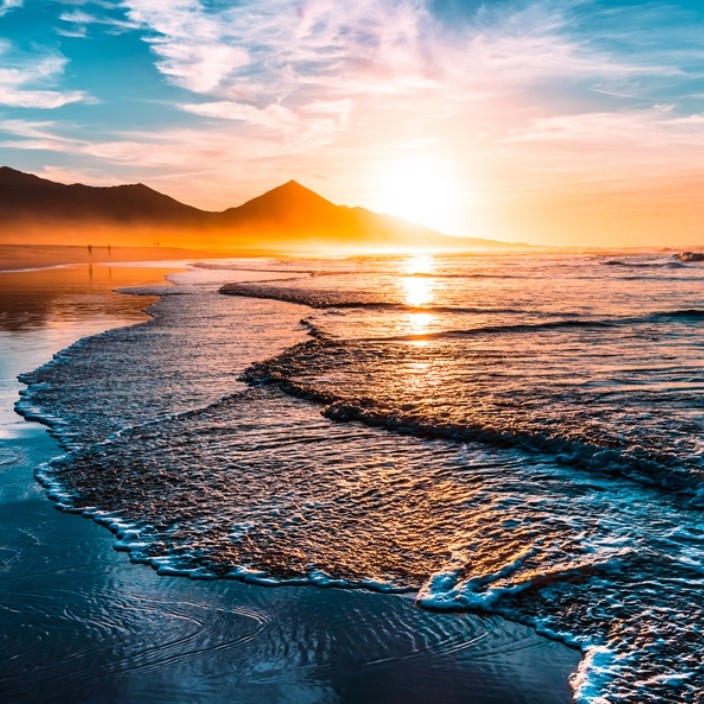 redocean.eth Ethereum Name Service (ENS and .eth domain) PFP