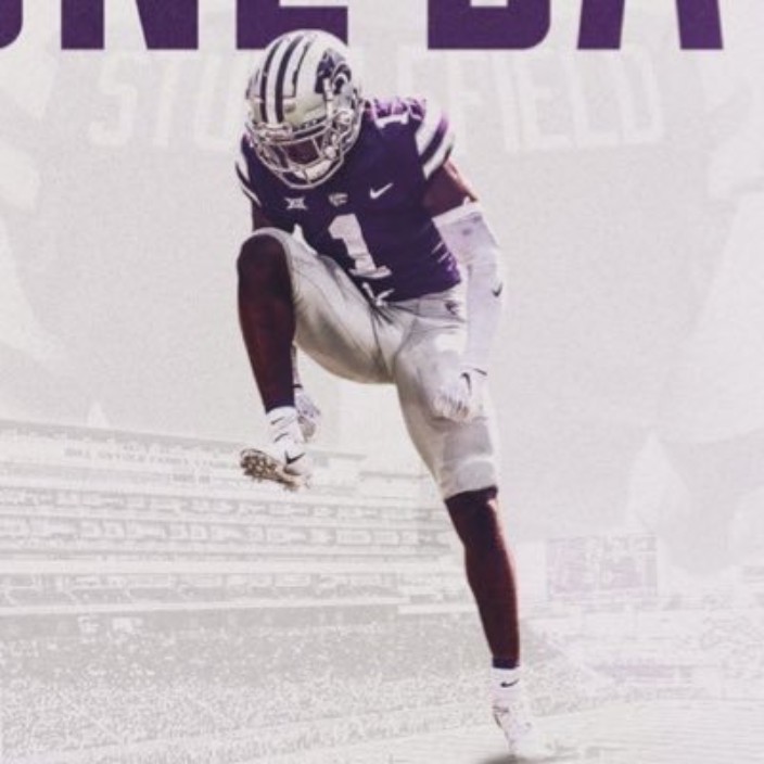 renagade1301.eth Ethereum Name Service (ENS and .eth domain) PFP