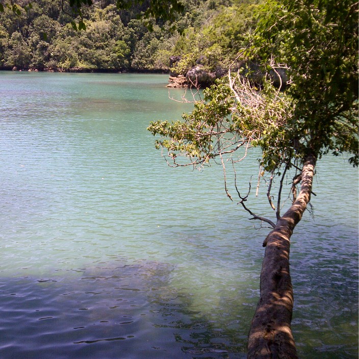 riano.eth Ethereum Name Service (ENS and .eth domain) PFP