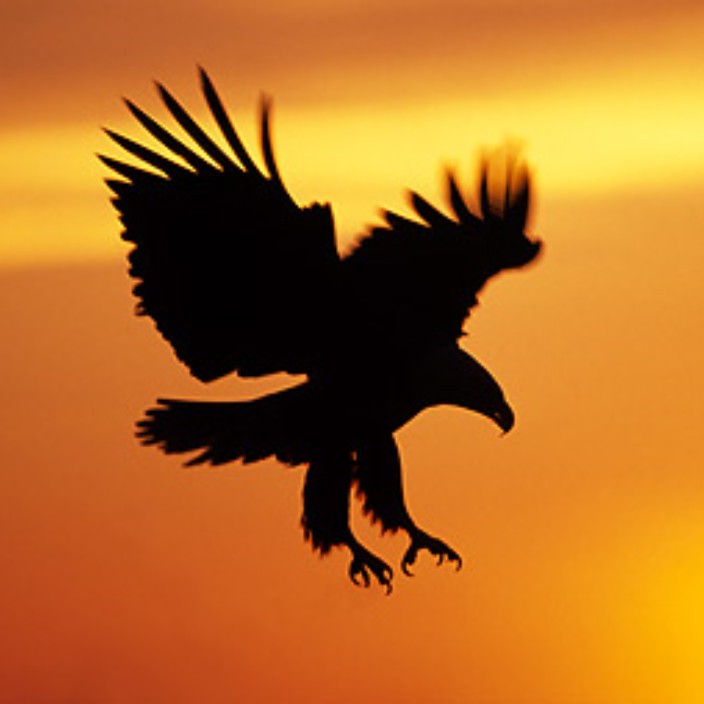 richardbirse.eth Ethereum Name Service (ENS and .eth domain) PFP