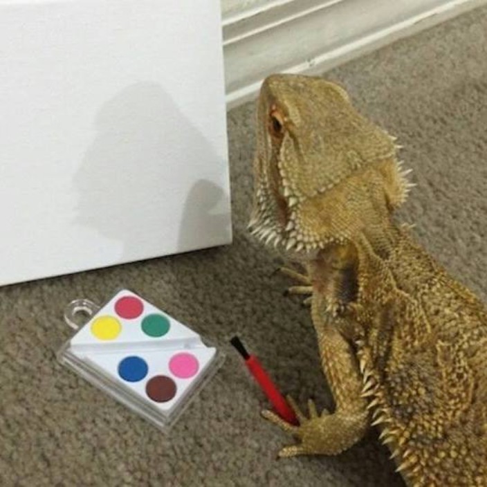 richardparkes.eth Ethereum Name Service (ENS and .eth domain) PFP