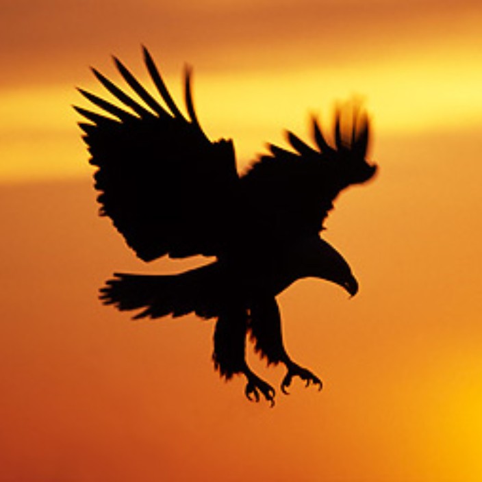 richbirse.eth Ethereum Name Service (ENS and .eth domain) PFP