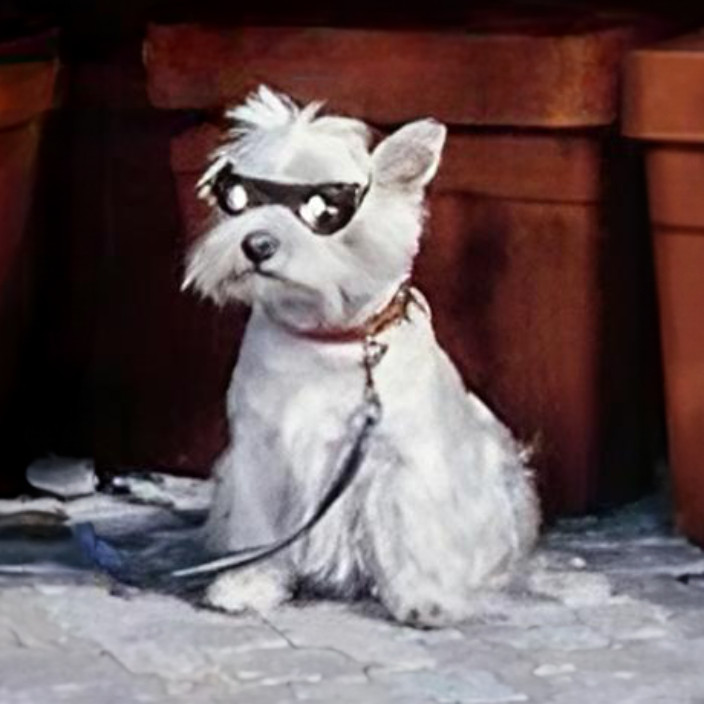 riskdaler.eth Ethereum Name Service (ENS and .eth domain) PFP