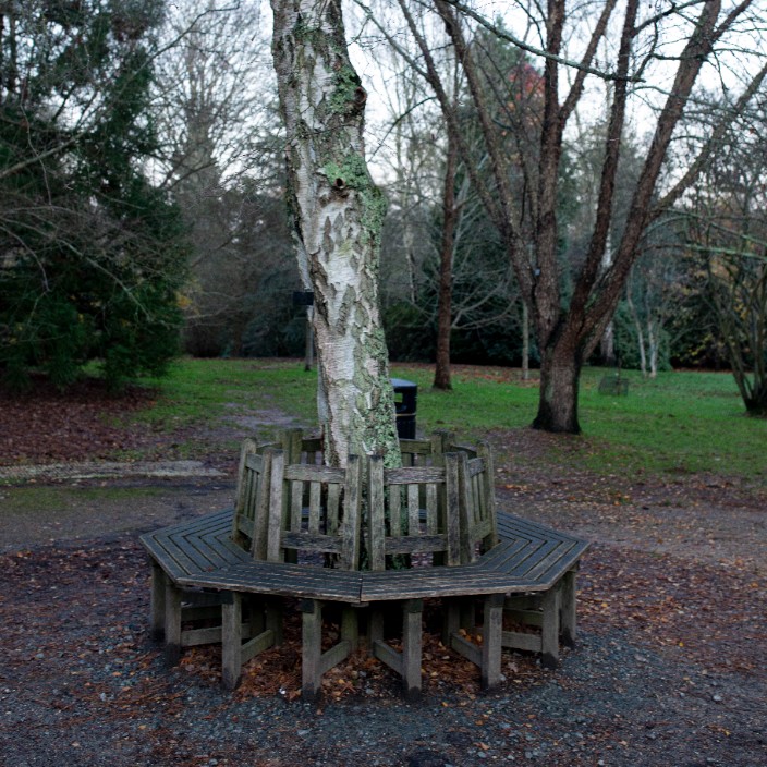 risplendere.eth Ethereum Name Service (ENS and .eth domain) PFP