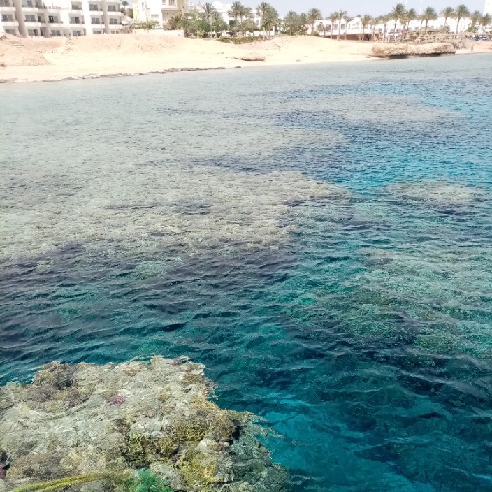 romancukroman.eth Ethereum Name Service (ENS and .eth domain) PFP