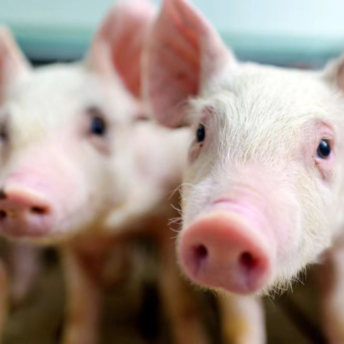 ronuei502zyi.eth Ethereum Name Service (ENS and .eth domain) PFP