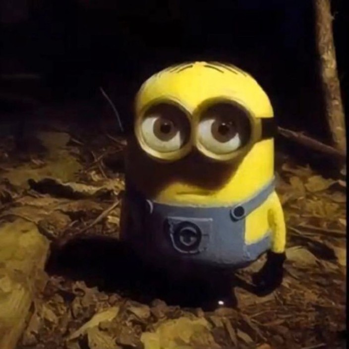 rpchan.eth Ethereum Name Service (ENS and .eth domain) PFP