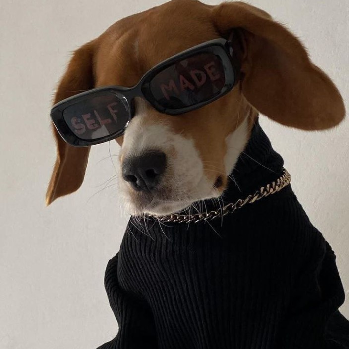 runvverse.eth Ethereum Name Service (ENS and .eth domain) PFP