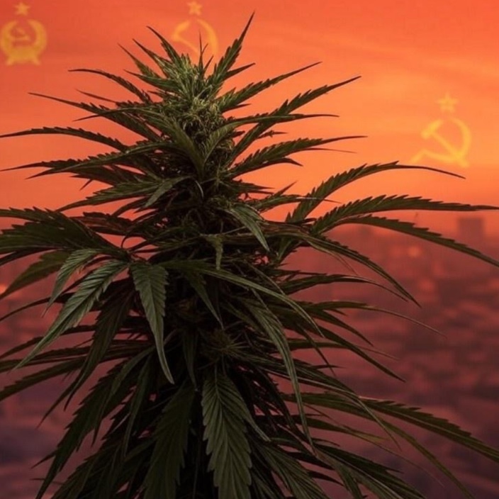 russianweed.eth Ethereum Name Service (ENS and .eth domain) PFP