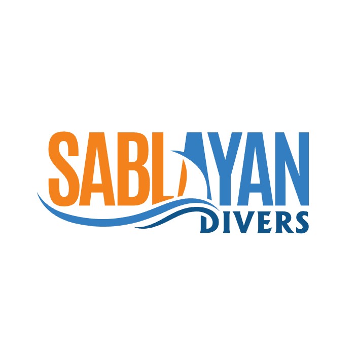 sablayandivers.eth Ethereum Name Service (ENS and .eth domain) PFP