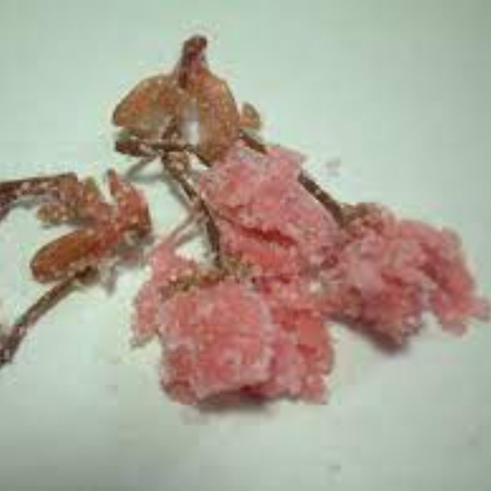 sakurayu.eth Ethereum Name Service (ENS and .eth domain) PFP