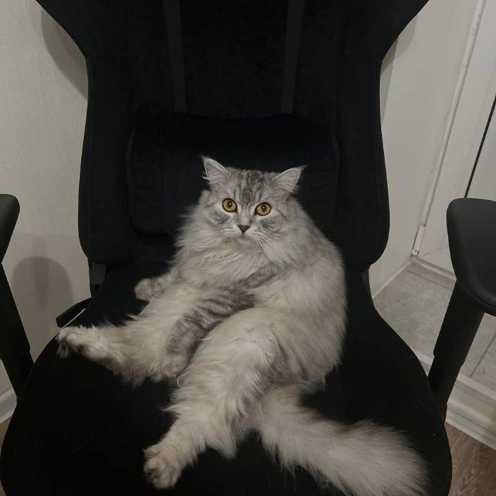 santik.eth Ethereum Name Service (ENS and .eth domain) PFP