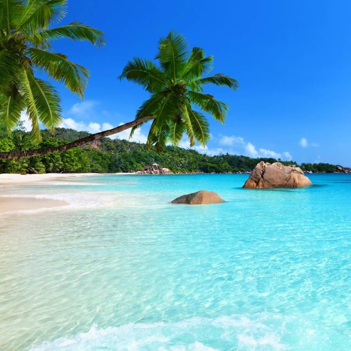 santodomingo.eth Ethereum Name Service (ENS and .eth domain) PFP