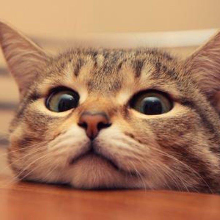 sarah289.eth Ethereum Name Service (ENS and .eth domain) PFP