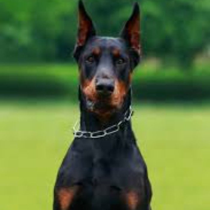 sarris28vc.eth Ethereum Name Service (ENS and .eth domain) PFP