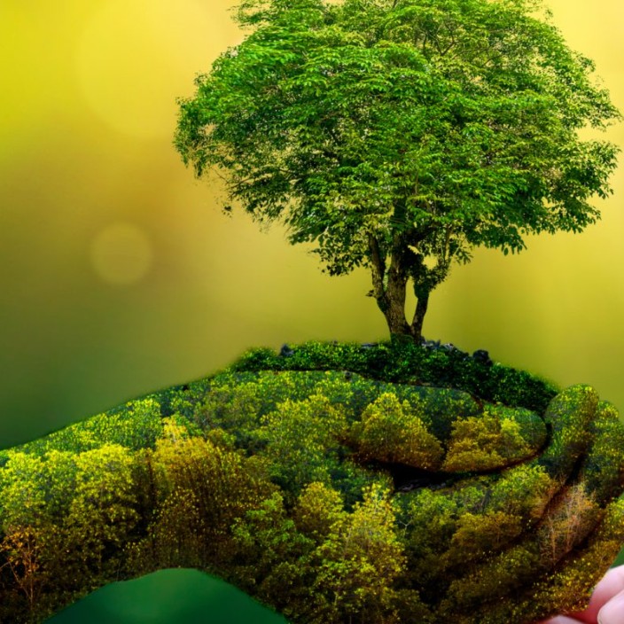 sashajason170.eth Ethereum Name Service (ENS and .eth domain) PFP