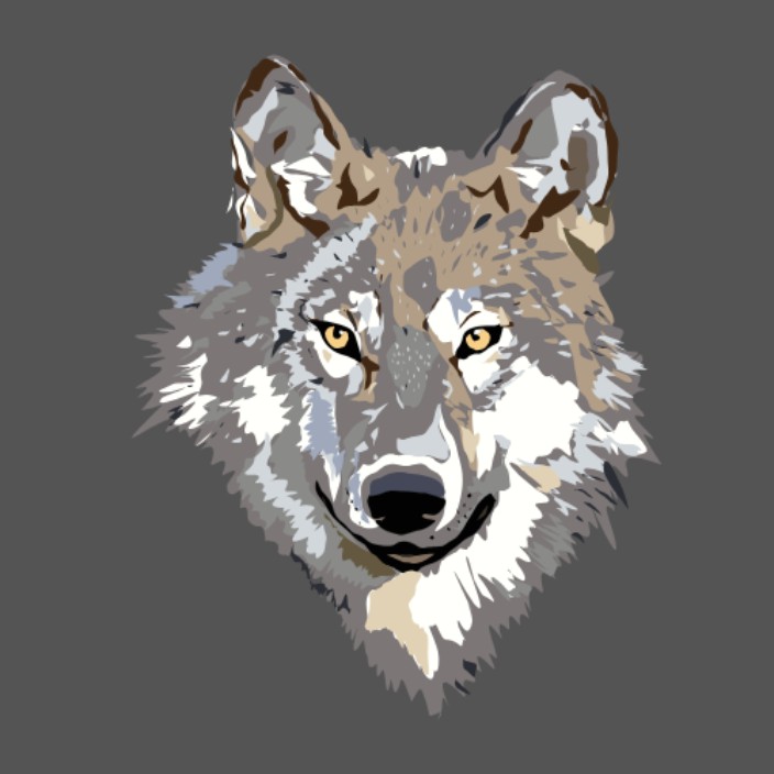 satoshi-sage.eth Ethereum Name Service (ENS and .eth domain) PFP