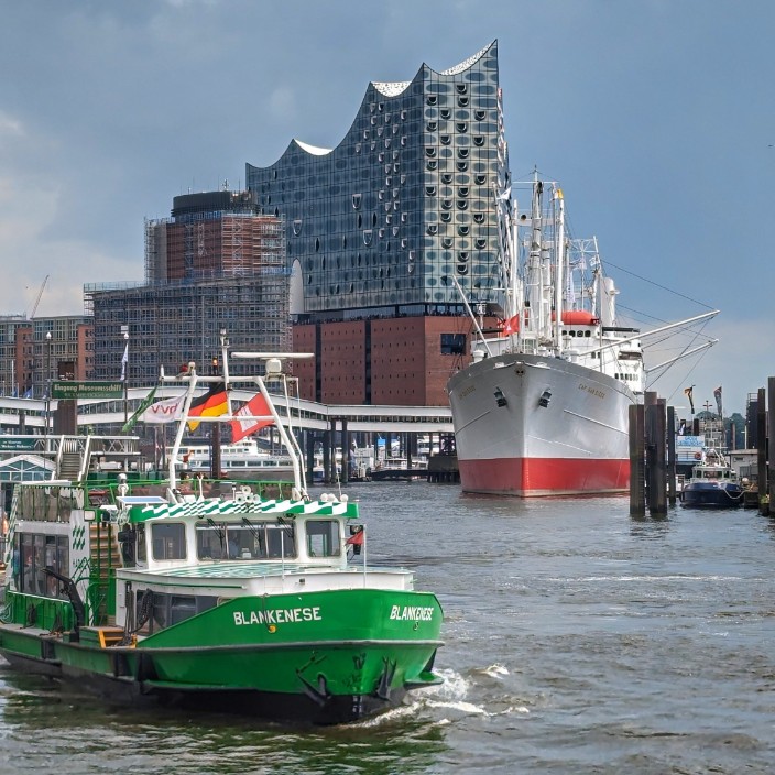 schaeren.eth Ethereum Name Service (ENS and .eth domain) PFP