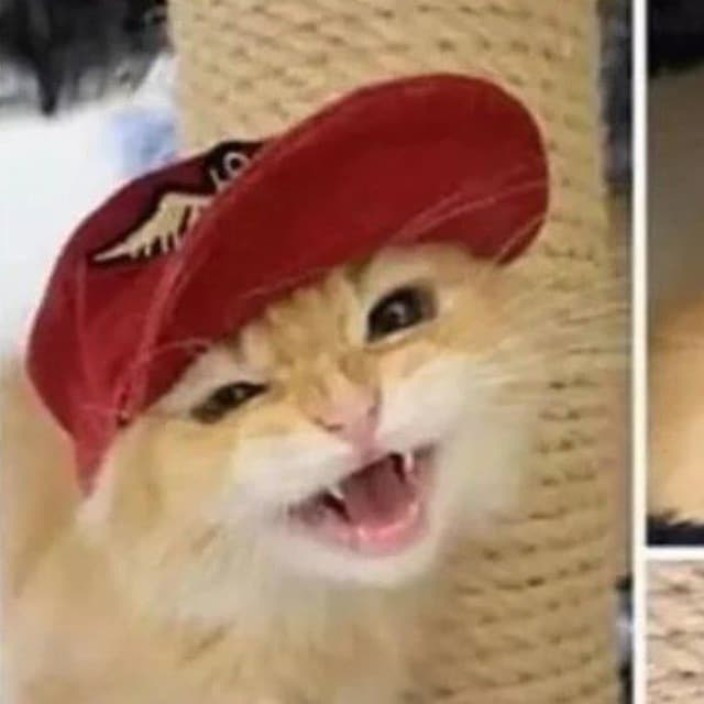 schnuzbart.eth Ethereum Name Service (ENS and .eth domain) PFP