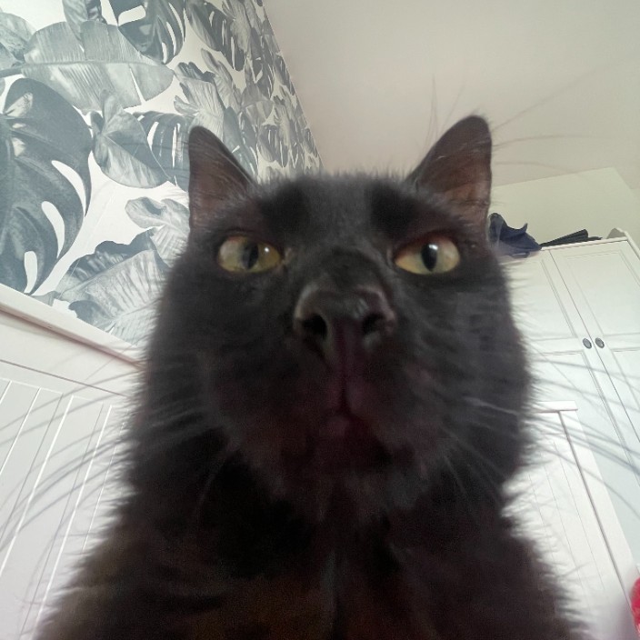 secso.eth Ethereum Name Service (ENS and .eth domain) PFP