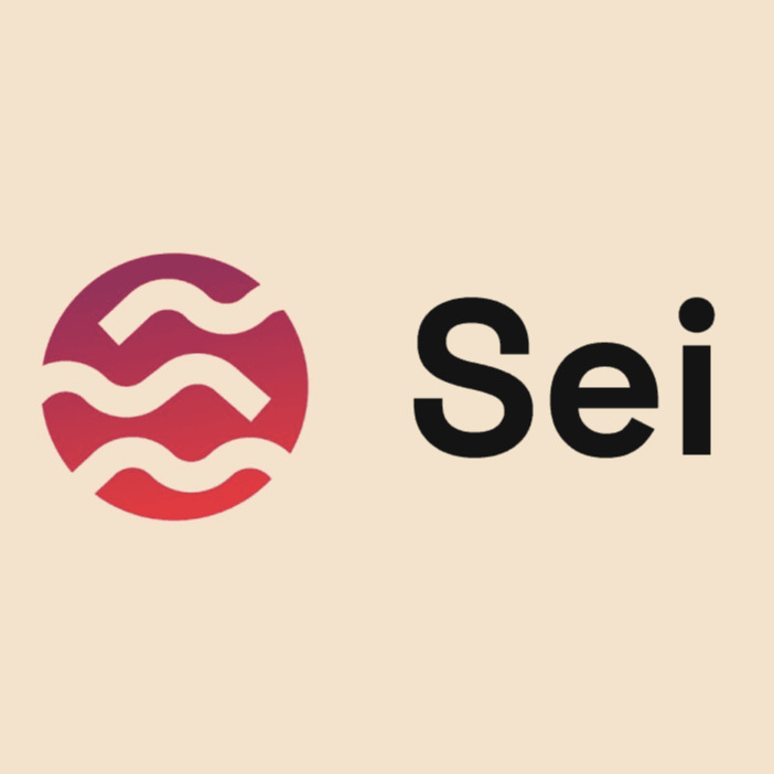 seinetwork.eth Ethereum Name Service (ENS and .eth domain) PFP