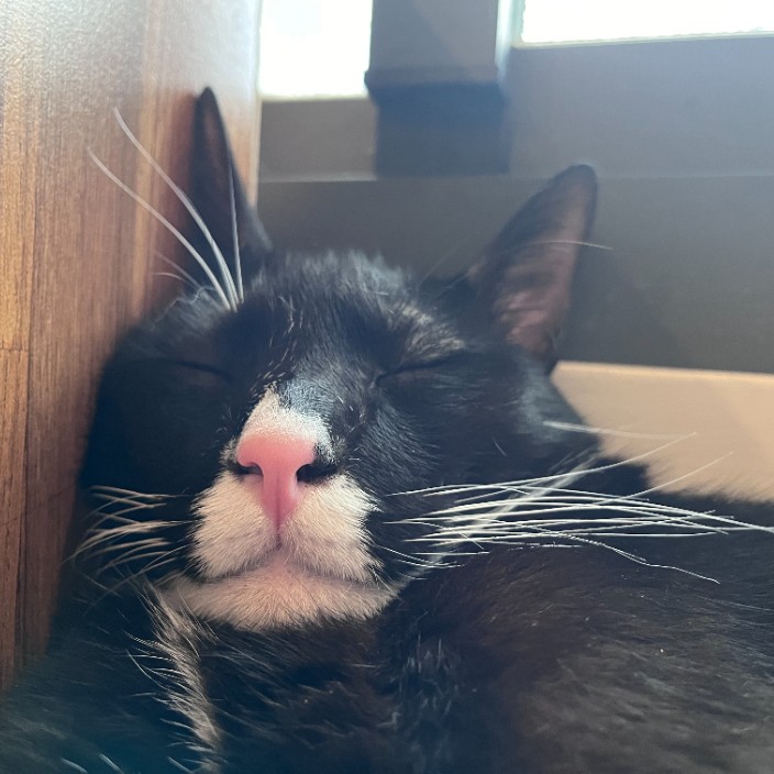 senseihong.eth Ethereum Name Service (ENS and .eth domain) PFP