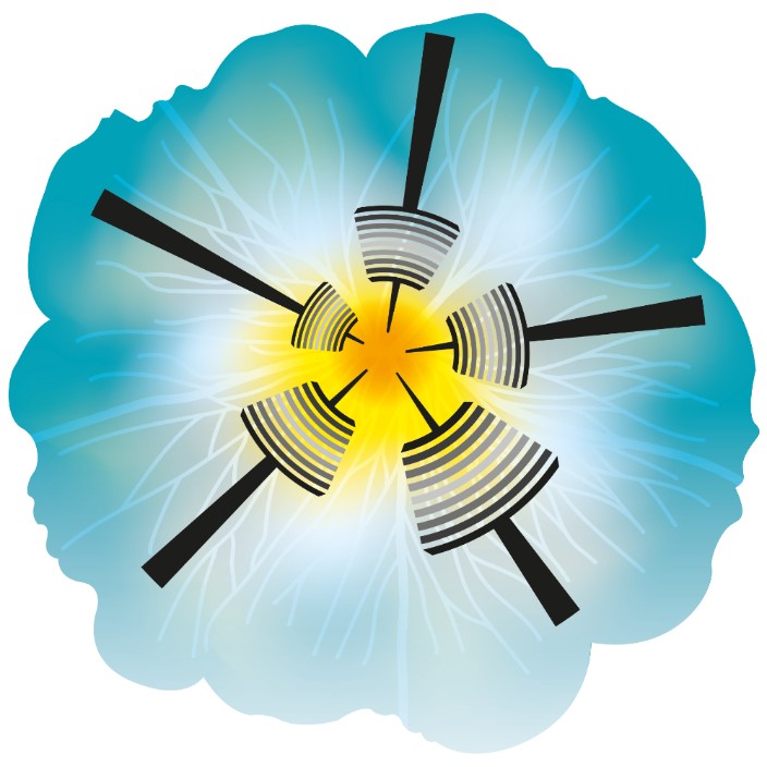 senseonfaders.eth Ethereum Name Service (ENS and .eth domain) PFP