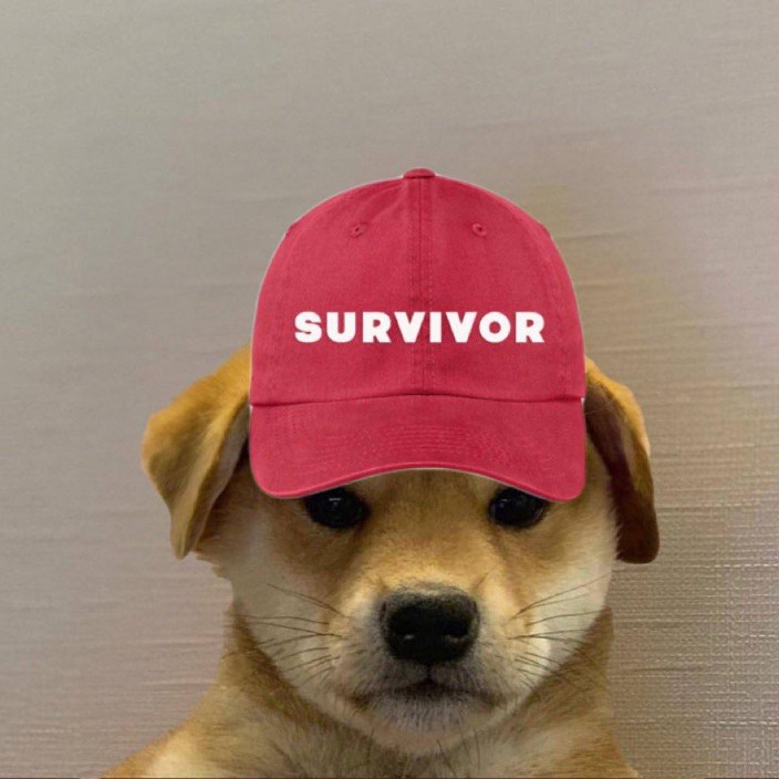 sepduu.eth Ethereum Name Service (ENS and .eth domain) PFP