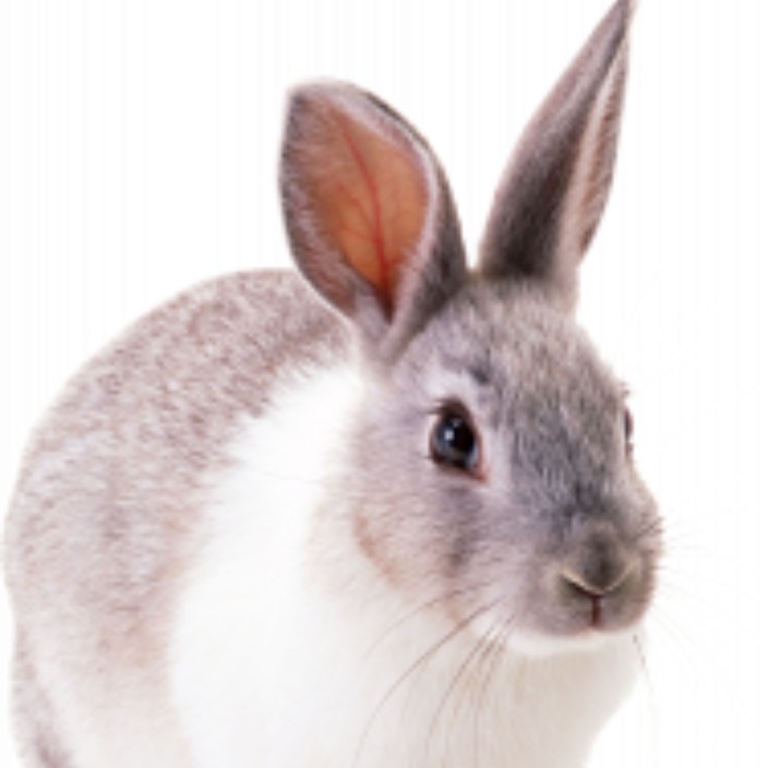 sergeynemicheff.eth Ethereum Name Service (ENS and .eth domain) PFP