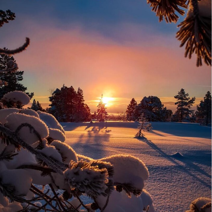 sergioio.eth Ethereum Name Service (ENS and .eth domain) PFP